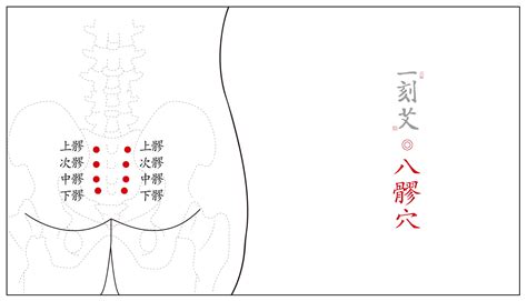 八廖|八髎穴（上、次、中、下髎）详解